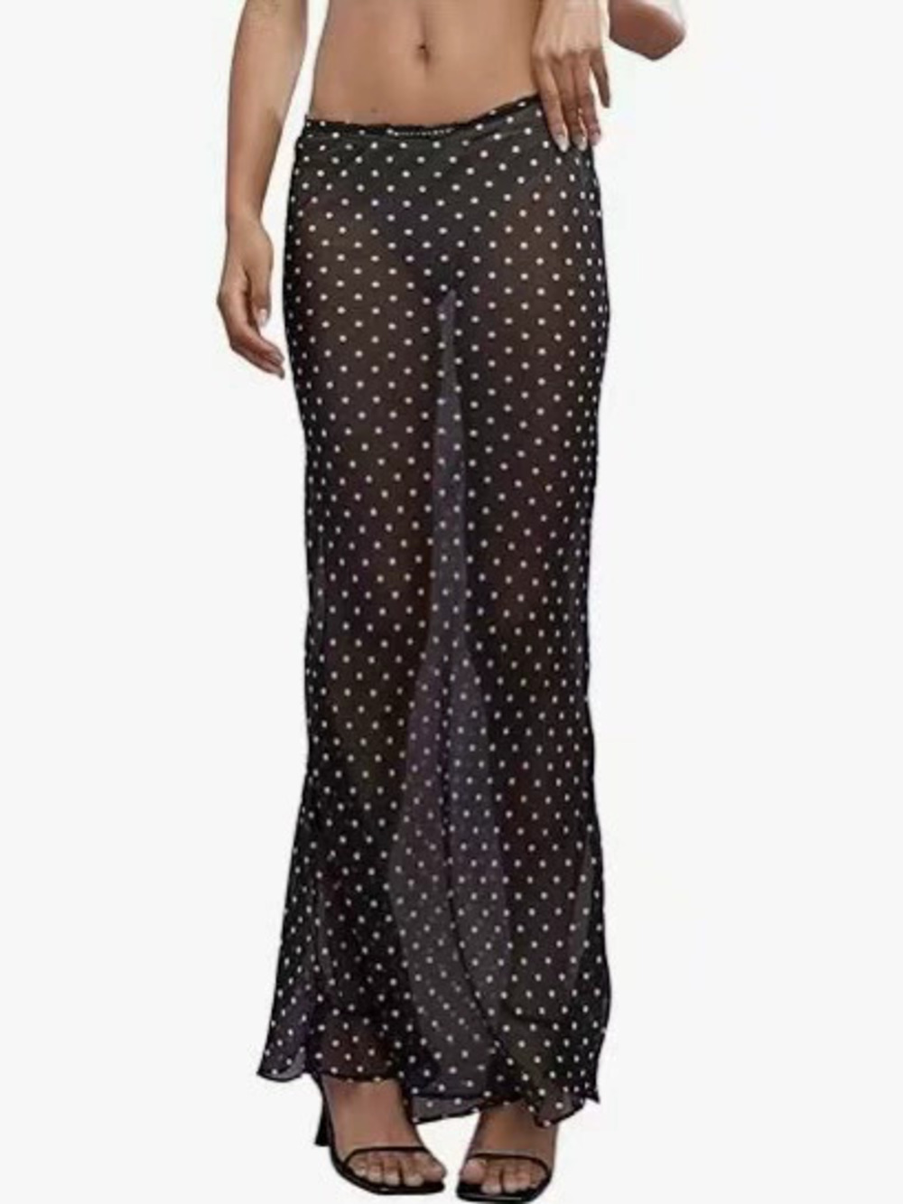 Zara Polka Dot Sheer Maxi Skirt